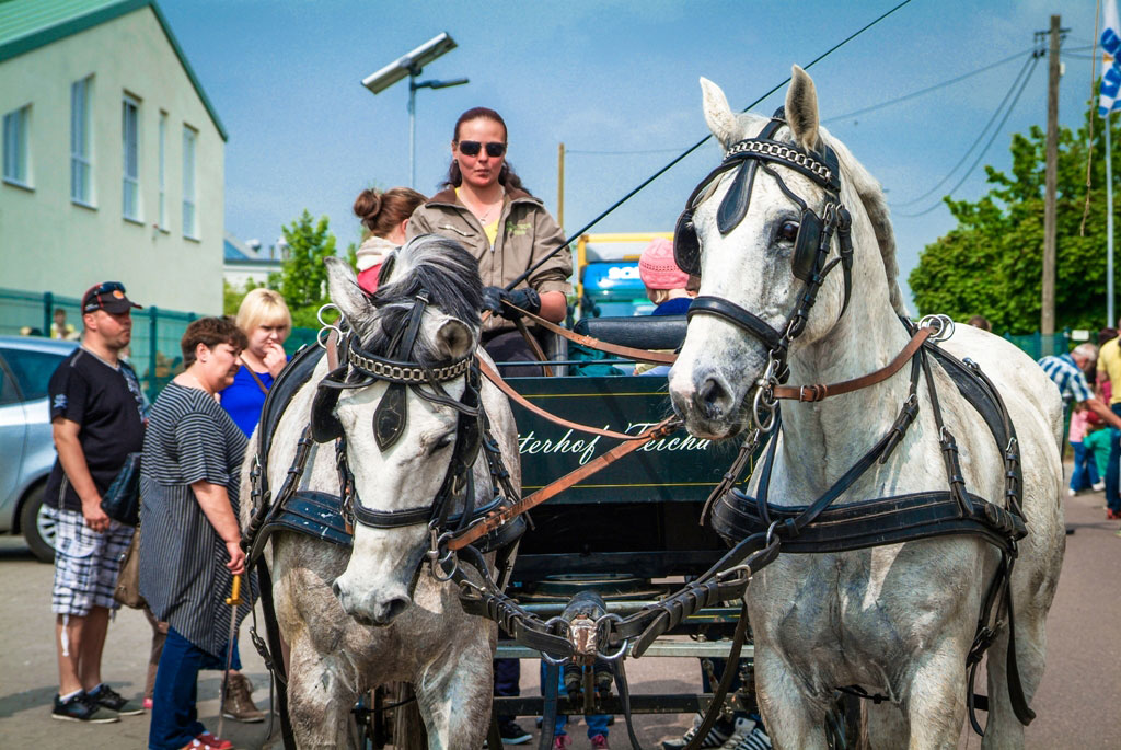Landmarkt Pegasus Oppin – Bauernmarkt 2014 (Impressionen)