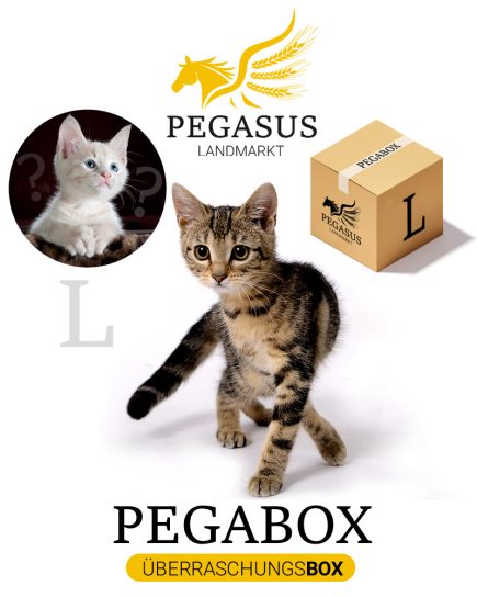 Pegabox L Überraschungsbox für Katzen