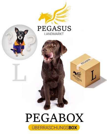 Pegabox L Überraschungsbox für Hunde