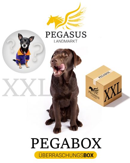 Pegabox XXL Überraschungsbox für Hunde