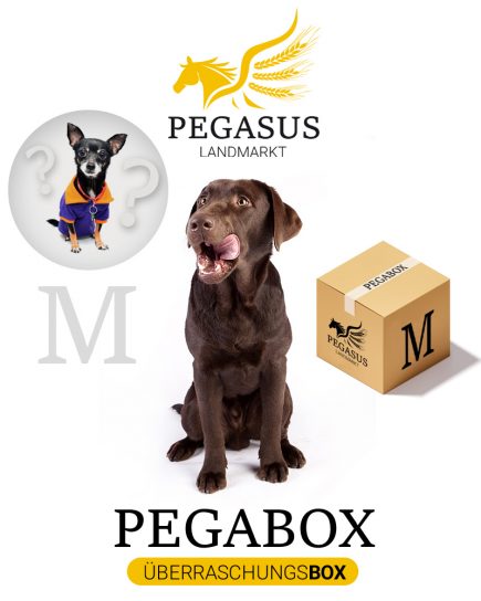 Pegabox M Überraschungsbox für Hunde