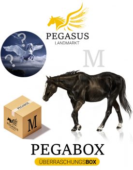 Pegabox M Überraschungsbox für Pferde