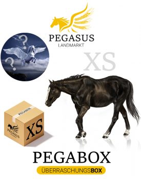 Pegabox XS Überraschungsbox für Pferde
