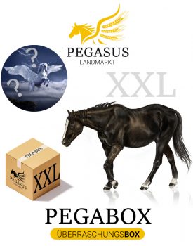Pegabox XXL Überraschungsbox für Pferde